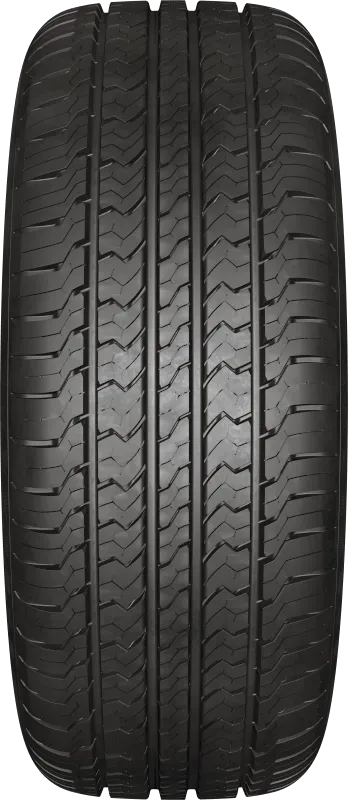 Viatti Bosco H/T (V-238) Viatti Bosco H/T (V-238)